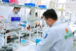 6 tháng đầu năm 2019, Đạm Cà Mau đạt 55% doanh thu kế hoạch năm