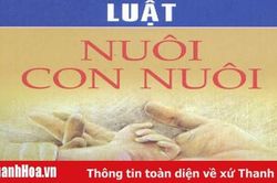 Tăng cường triển khai thực hiện có hiệu quả Nghị định số 24/2019/NĐ-CP