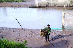 Mưu sinh ở vùng đất bãi bồi ven biển