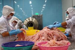 Hành trình 9 năm Việt Nam chinh phục Hiệp định EVFTA