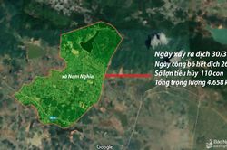 Huyện Nam Đàn (Nghệ An) công bố hết dịch tả lợn châu Phi