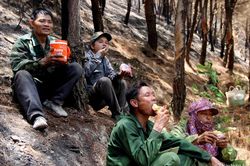 Nắng như thiêu, người dân Nghệ An ăn vội mì tôm khô trực cháy giữa rừng