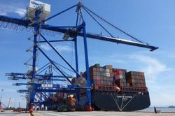 HICT tiếp nhận hơn 187.000 TEU hàng hóa trong năm đầu khai thác