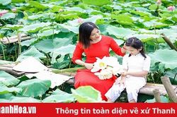 Bâng khuâng hoa sen mùa hạ