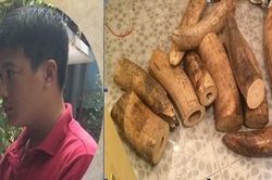 'Phát lộ' đầu nậu mua bán, vận chuyển ngà voi