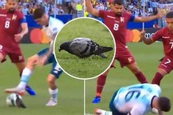 Tiền vệ De Paul của tuyển Argentina gây sốt khi bị... chim bồ câu đốn ngã trên sân