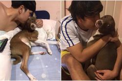 Loạt ảnh chứng minh: Kẻ cướp chồng không ở đâu xa, mà chính là đứa 4 chân ở bên cạnh chúng ta!