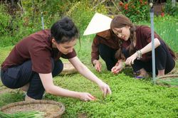 Du lịch nông nghiệp: 'Về buôn làng làm nông dân'