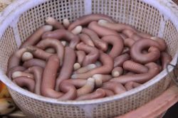 Thanh niên 26 tuổi suýt tử vong vì ăn sá sùng