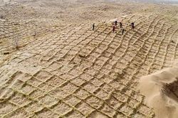 Rào chắn cát bằng gốc rạ giúp Trung Quốc đối phó sa mạc hóa