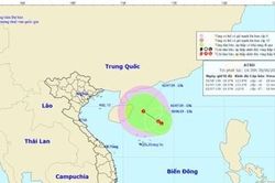 Xuất hiện vùng áp thấp trên vùng biển phía Bắc quần đảo Hoàng Sa