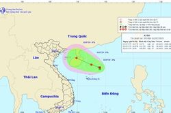 Áp thấp xuất hiện trên Biển Đông, có khả năng mạnh thành bão