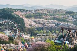 Công viên Everland thu hút du khách Việt khi tới Hàn Quốc