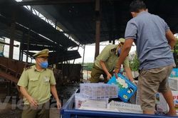 Bình Phước tiến hành tiêu hủy hơn 1 tấn trái cây nhập lậu