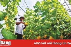 Tập trung hoàn thành nhiệm vụ kinh tế - xã hội năm 2019