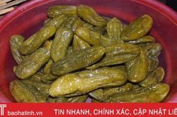 'Đổi phận' cho dưa non, một nông dân Kỳ Anh thu trên 100 triệu