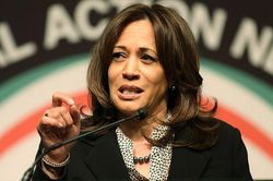 Bầu cử Mỹ 2020: Ứng cử viên Kamala Harris vươn lên vị trí thứ hai