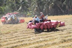 Ứng dụng khoa học trong nông nghiệp ĐBSCL - Bài 2: Tái cơ cấu thích ứng biến đổi khí hậu