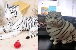 'Bóc phốt' mua hàng online không như hình đặt, nhưng cư dân mạng không thả phẫn nộ, trái lại còn khen ngợi