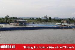 Huyện Nga Sơn: Tổng sản lượng thủy sản khai thác và nuôi trồng đạt hơn 3.241 tấn
