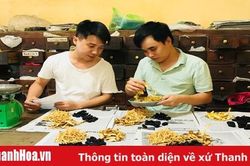 Hội Đông y huyện Hoằng Hóa nâng cao chất lượng khám, chữa bệnh cho nhân dân