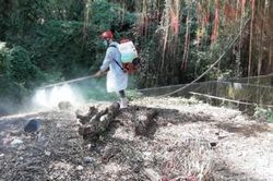 Kinh tế Nông nghiệp - Nông thôn Công bố dịch tả lợn châu Phi trên toàn tỉnh