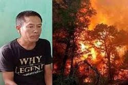 Người đốt rác làm cháy rừng tại Hà Tĩnh có phải ngồi tù tới 12 năm?