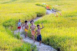 Lặng nghe tháng Bảy...
