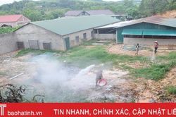 Cả thôn khốn khổ vì trại lợn ô nhiễm