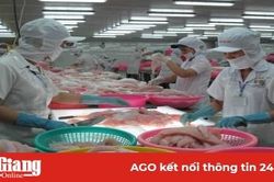 Ngành sản xuất cá tra chờ tín hiệu của thị trường
