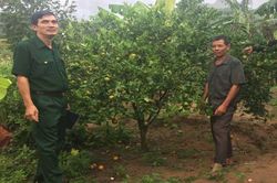 Cựu chiến binh phát huy vốn vay ưu đãi
