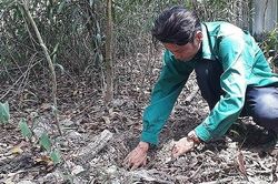 Thông tin thêm về vụ việc phát hiện hơn 300 xác thai nhi ở TP Cà Mau