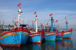 Cấp hạn ngạch đánh bắt vùng khơi cho trên 31.500 tàu cá