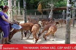 Không học chuyên khoa, vẫn làm 'bà đỡ'...