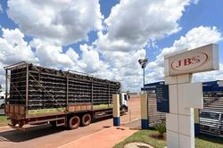 Anh trả lại 1.400 tấn gia cầm cho Brazil do nhiễm khuẩn salmonella