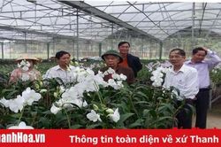 Tập hợp, phát huy đội ngũ trí thức khoa học và công nghệ trong thời kỳ đẩy mạnh CNH, HĐH quê hương, đất nước