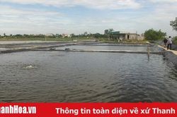 Biến bãi lầy ven sông Cung thành những mô hình kinh tế hiệu quả