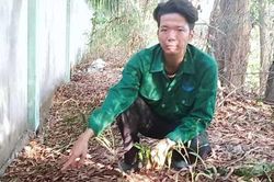Phát hiện xác thai nhi tại nhà máy xử lý rác ở Cà Mau: Chưa có căn cứ xác định số lượng