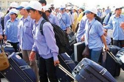 Người đi xuất khẩu lao động có thể vay 80% chi phí ghi trong hợp đồng