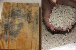 Những thực phẩm chứa chất cực độc gây ung thư gan người Việt vẫn ăn mỗi ngày