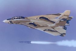 Lý do Mỹ muốn tiêu diệt phi đội F-14 Tomcat của Iran