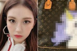 Cư dân mạng ghen tị khi thấy Jeon Somi vẽ hình kỳ lân lên túi hiệu của mình