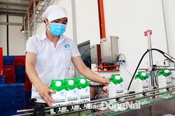 Mong muốn người tiêu dùng biết đến thương hiệu Lothamilk