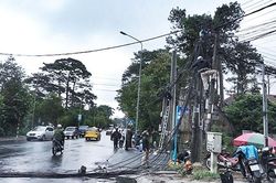 Đà Lạt: xe khách vướng dây cáp, kéo gãy đổ 3 trụ điện
