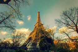 Vì sao tuyệt đối không được chụp ảnh tháp Eiffel vào ban đêm?