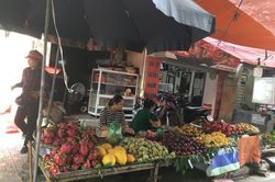 Tràn lan mận, đào Trung Quốc 'đội lốt' sản vật Sa Pa