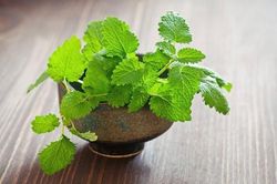5 cách xua đuổi muỗi không dùng hóa chất đơn giản đến bất ngờ