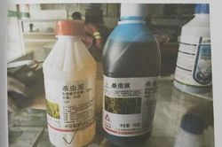 Vợ tự sát, chồng chặt xác phi tang