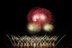 Đội Phần Lan giành chức vô địch DIFF 2019