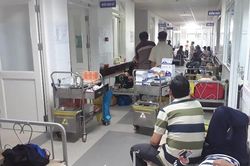 Cả nước có hơn 70.800 người mắc sốt xuất huyết